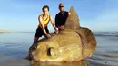 Seekor ikan matahari (Mola mola) berukuran raksasa ditemukan mati terdampar di bibir sungai Murray, Australia Selatan pada 16 Maret 2019. Penemuan ikan raksasa dengan bentuk aneh tersebut menjadi viral. (Handout/Courtesy of Linette Grzelak / AFP)