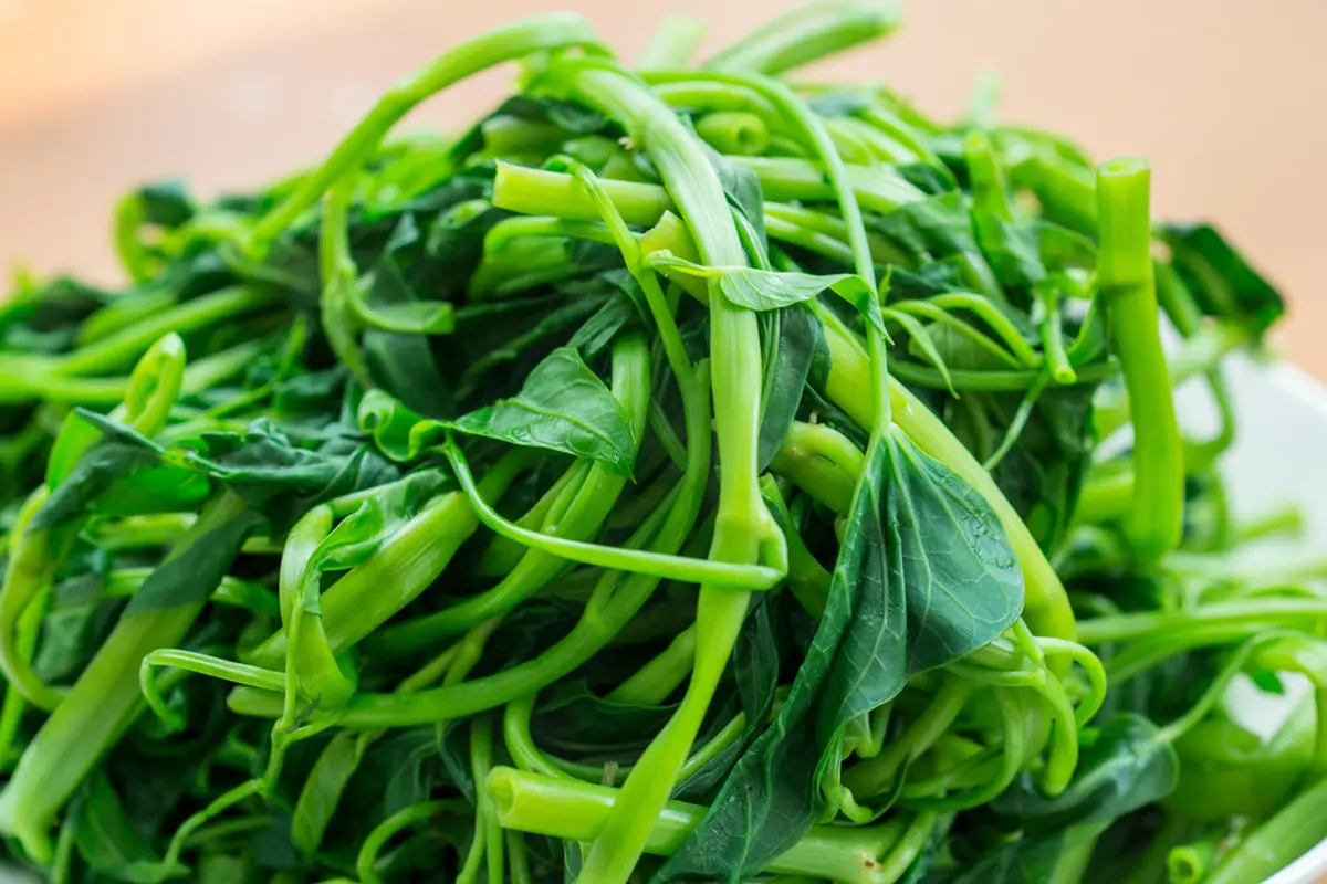 sayur kangkung
