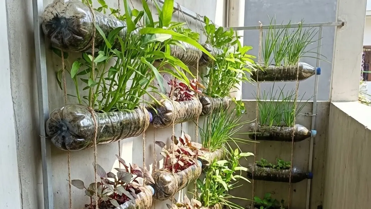 Kebun Sayur Mini Vertikal di Balkon Sempit