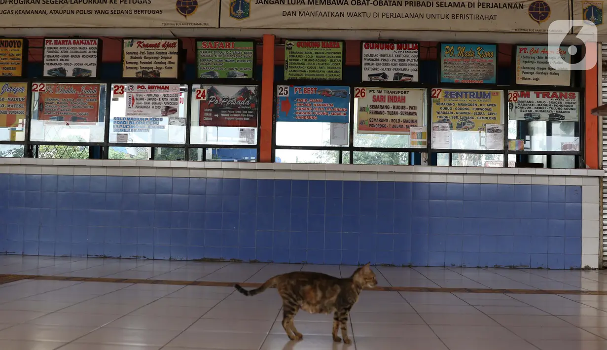 Suasana area pembelian tiket bus di Terminal Kampung Rambutan, Jakarta, Sabtu (25/4/2020). Untuk mencegah dan memutus mata rantai penularan virus Covid-19, pemerintah resmi melarang aktivitas mudik pada Jumat (24/4) lalu. (Liputan6.com/Helmi Fithriansyah)