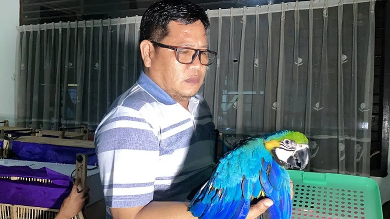 Kakatua macau sitaan penyergapan penyelundupan burung yang dibawa ke klinik satwa BBKSDA Riau.
