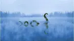 Beberapa saksi mata mengklaim telah melihat sosok aneh yang diduga monster dalam danau tersebut.