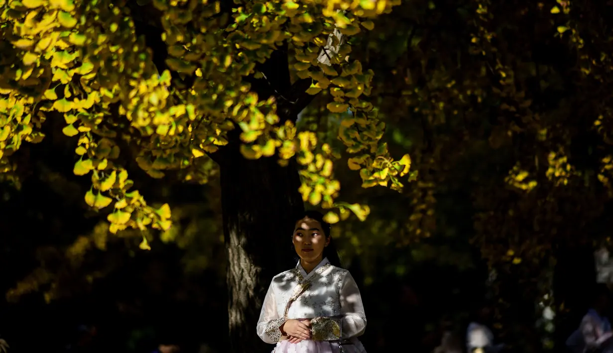 <p>Momen pada musim gugur itu dimanfaatkan sejumlah warga sebagai tempat wisata berfoto. Terlihat warga berpose di tempat tersebut. (ANTHONY WALLACE / AFP)</p>