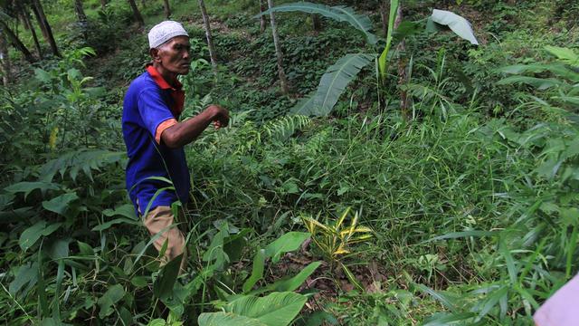 Saksi dan pembuat lubang kuburan massal PKI untuk eksekusi, Kirman, di Kuburan Massal PKI Singaranting, Cipari, Cilacap. (Foto: Liputan6.com/Muhamad Ridlo)