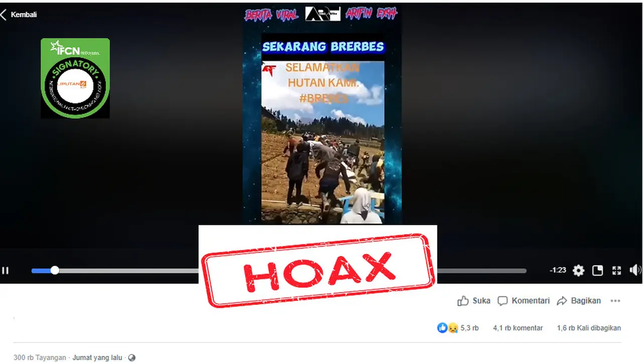Tangkapan layar salah satu hoaks seputar hutan