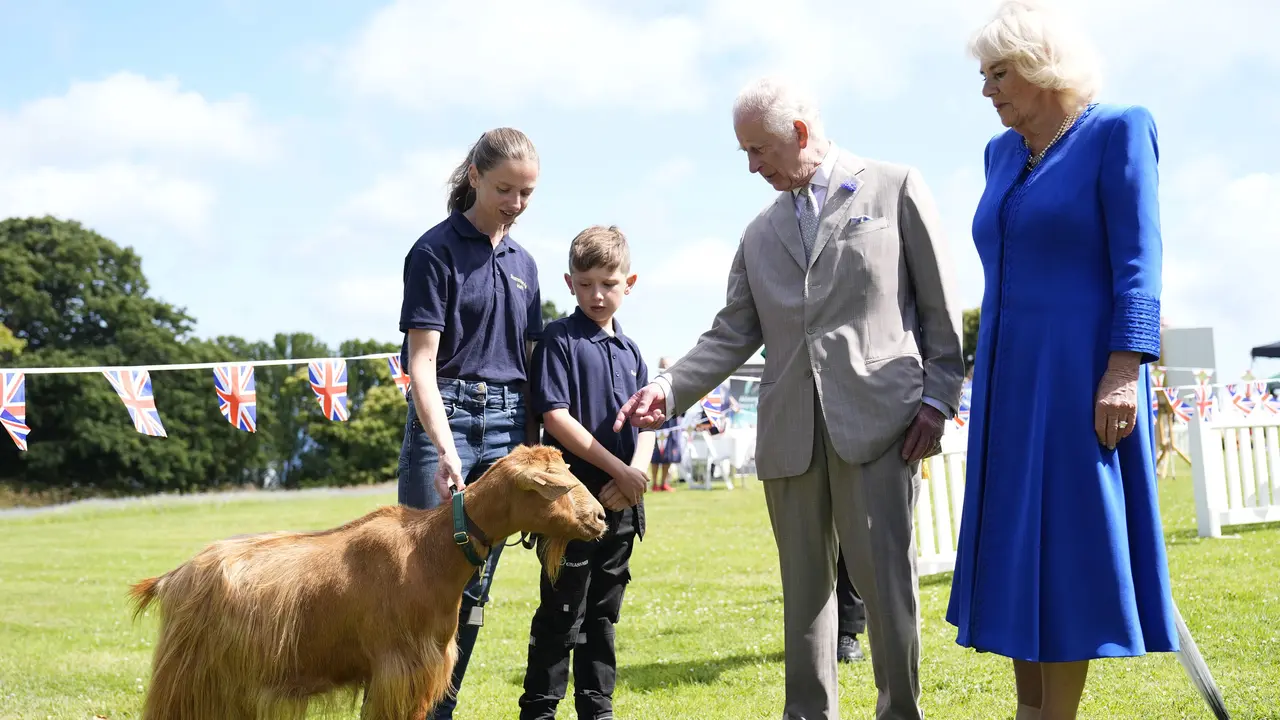 Raja Charles III anugerahkan gelar kerajaan kambing emas yang langka