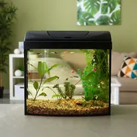 ilustrasi cara membersihkan filter aquarium/Pixel-Shot/shutterstock