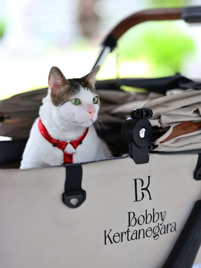 Dari Mewing, Labubu, hingga Bobby Kertanegara: Intip Tren Pencarian Google Sepanjang 2024