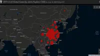23 Negara Terdeteksi Virus Corona, Bagaimana Jika Terpaksa Pergi ke Daerah Terjangkit?