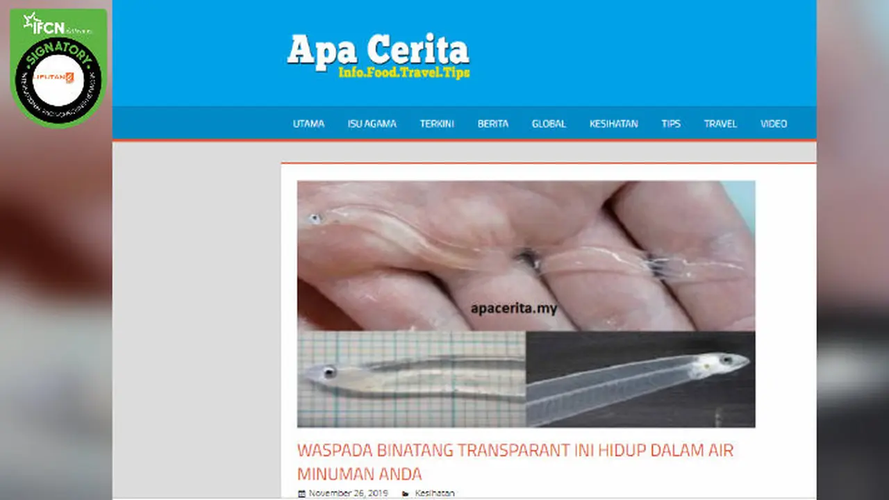 [Cek Fakta] Binatang Transparan Ini Hidup dalam Air Minum Anda?