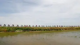 Deretan pebalap beraksi di Etape 18 Giro d'Italia dari Muggio ke Pinerolo. (26/5/2016). (AFP/Luk Benies)
