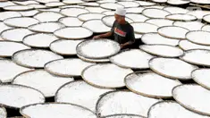 Pekerja menjemur tepung aci di Sukaraja, Kabupaten Bogor, Jawa Barat, minggu (20/6/2021). Pemerintah mengklaim hasil pelaksanaan program Pemulihan Ekonomi Nasional (PEN) klaster dukungan UMKM membantu mayoritas penerima manfaat dapat bertahan selama pandemi COVID-19. (Liputan6.com/Angga Yuniar)