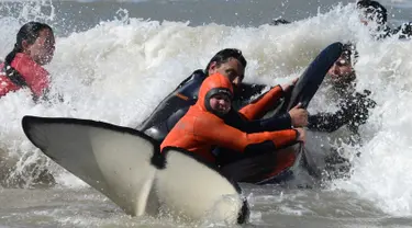 Tim penyelamat dan sukarelawan berupaya mengembalikan paus pembunuh ke laut setelah terdampar, di pantai Mar Chiquita, Argentina, Senin (16/9/2019). Sebanyak enam dari tujuh paus pembunuh yang ditemukan terdampar berhasil dikembalikan ke laut, tetapi satu di antara mereka mati. (AP/Marina Devo)