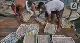 Aktivitas tangkapan ikan konsumsi untuk harian di dermaga Kalibaru, Jakarta, Jumat (31/5/2024). (merdeka.com/Imam Buhori)