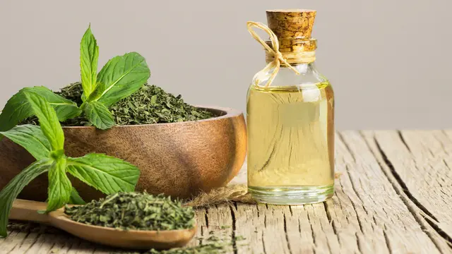 Manfaat Penggunaan Minyak Esensial untuk Merawat Rambut Rontok dan Tips yang Bisa Dilakukan