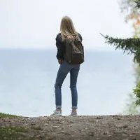 Ilustrasi/copyright pexels.com/ Sebastian Voortman