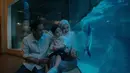 Roger Danuarta dan Cut Meyriska juga sempat menggendong Shaquille yang tumbuh besar. Lucu banget, mereka sedang menatap penguin yang tengah berenang di aquarium.(instagram.com/cutratumeyriska)