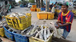 Pekerja menunjukkan ikan hiu di Muara Angke, Jakarta, Kamis (7/6). Menurunnya populasi ikan hiu dari berbagai macam spesies disebabkan masih massifnya perdagangan ikan hiu di Indonesia. (Liputan6.com/Angga Yuniar)