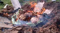 Ayam tiren (mati kemarin) yang dijual di pasar berhasil disita petugas dan dimusnahkan di Semarang, Jawa Tengah. (Liputan6.com/Edhie Prayitno Ige)
