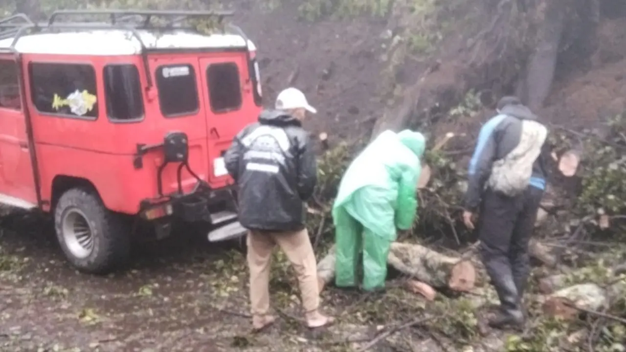 Longsor di tebing ruas jalan Bukit Kedaluh atau Bukit Kingkong kawasan Taman Nasional Bromo Tengger Semeru pada Rabu pagi (25/2/2026).