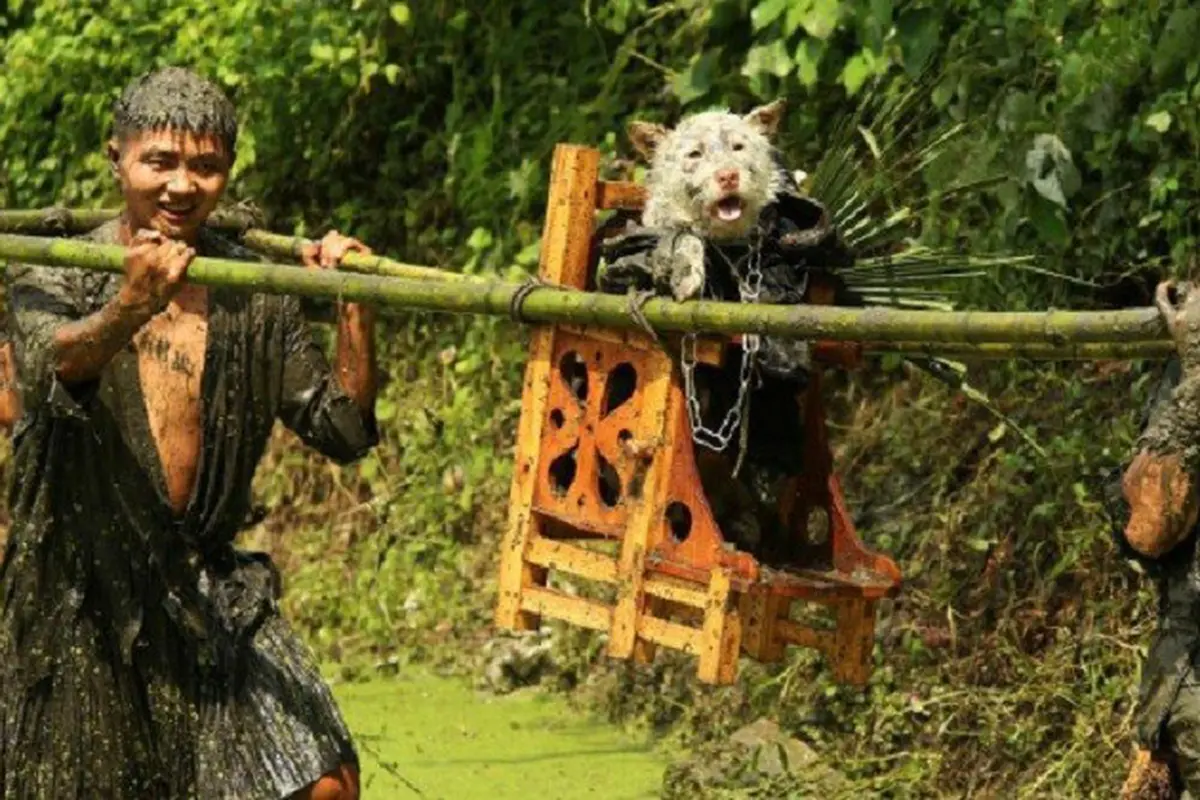 [Bintang] Festival Guizhou