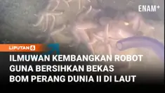 Dalam ekspedisi terbaru di perairan Jerman yang penuh bom bekas Perang Dunia II, para peneliti menemukan sejumlah hewan laut sedang bersantai di atas bom-bom tersebut. Senjata-senjata lama ini mengeluarkan bahan kimia beracun ke laut yang seharusnya ...