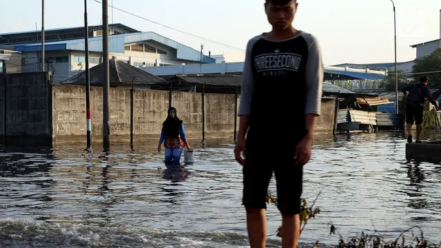 ilustrasi banjir rob