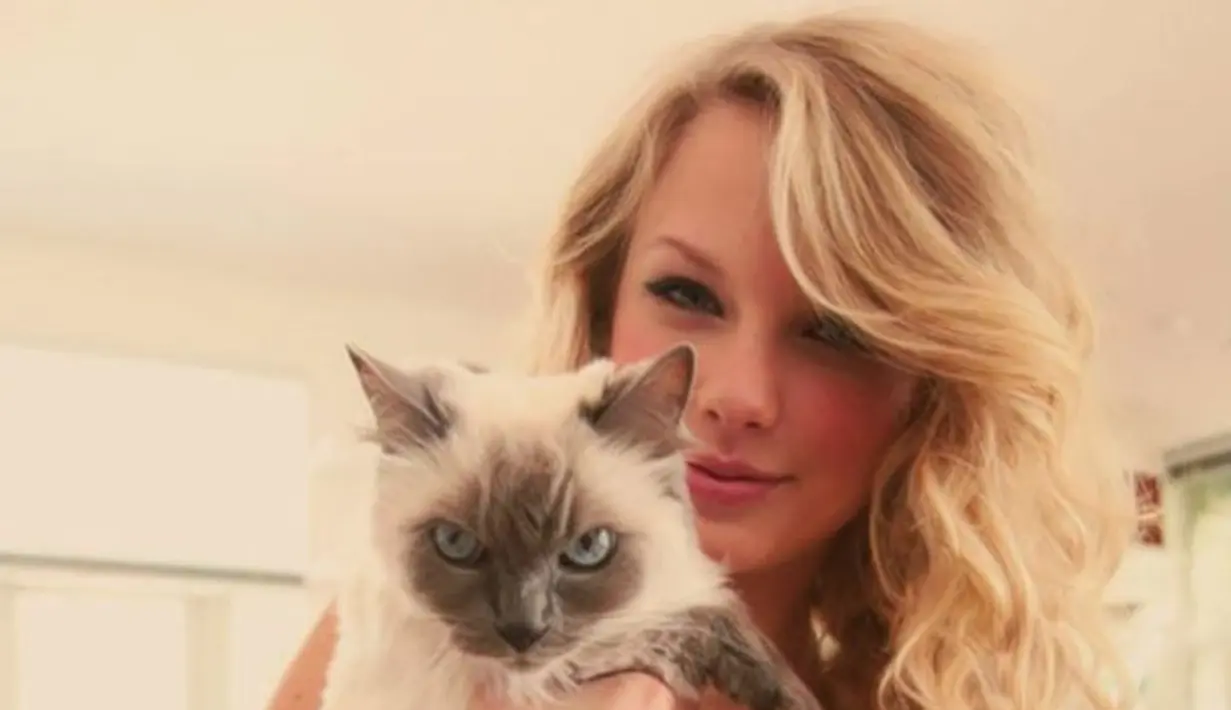 Namun seperti yang sudah diketahui, Taylor Swift sendiri sangat terobsesi dengan kucing dan hal itu membuat para penggemar bersemangat! (Netsuggest)