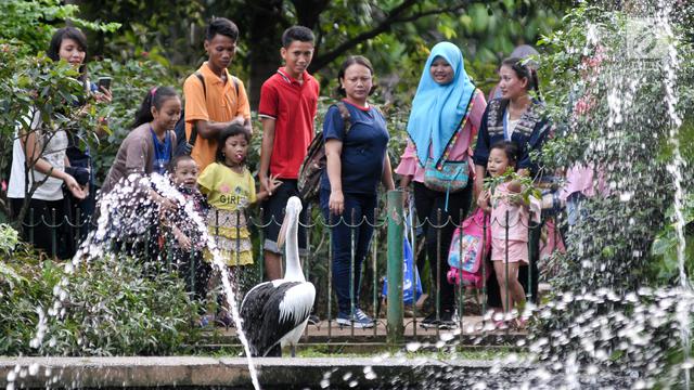 Lebaran Ke-2, Kebun Binatang Ragunan Penuh Pengunjung