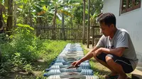 Cara Ternak Ikan Gabus di Galon Bekas, Mudah dan Praktis untuk Pemula