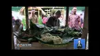 Dinas Pariwisata Kabupaten Semarang menggelar festival kuliner khas di Alun-alun Bung Karno, Ungaran.