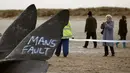 Wisatawan mengambil gambar dua bangkai paus sperma yang tergeletak di atas pasir setelah terdampar di pantai Skegness, Inggris, Senin (25/1). Menurut media setempat, tiga paus sperma ditemukan mati terdampar pada akhir pekan lalu. (REUTERS / Andrew Yates)