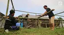 Warga menata bambu untuk membangun kamp pengungsian Gunung Agung di lahan milik dinas pertanian, Karangasem, Bali, Senin (27/11). BNPB mengatakan ada 22 desa yang warganya harus mengungsi terkait status awas Gunung Agung. (Liputan6.com/Andi Jatmiko)