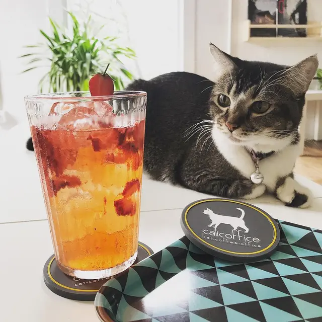 Salah satu menu minuman yang ada di Calicoffice.