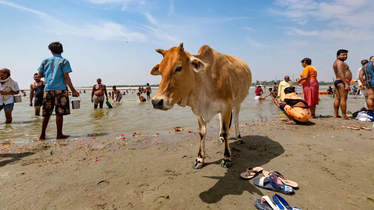 Lockdwon, Ratusan Umat Hindu Lakukan Ritual di Sungai Gangga