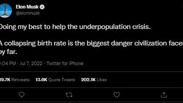 Cuitan Elon Musk setelah kabar kelahiran anak kembarnya.