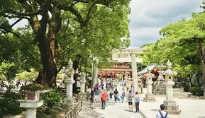 Jepang Tawarkan Paket Wisata Diskon hingga 60 Persen Usai Gempa