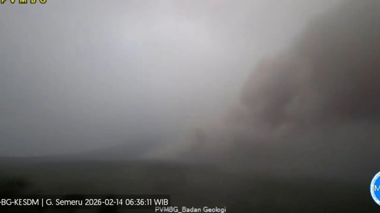 Gunung Semeru kembali erupsi. (Antara)