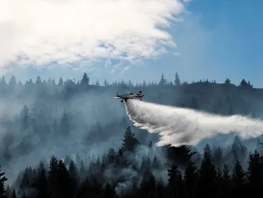 Sebuah pesawat menjatuhkan air untuk memadamkan kebakaran hutan di Epuyen, Patagonia, Argentina, Minggu 11 Januari 2026. Upaya pemadaman kebakaran hutan di wilayah Epuyen dan sekitarnya di Provinsi Chubut, Patagonia, Argentina, terus berlanjut. (AP Photo/Nicolas Palacios)