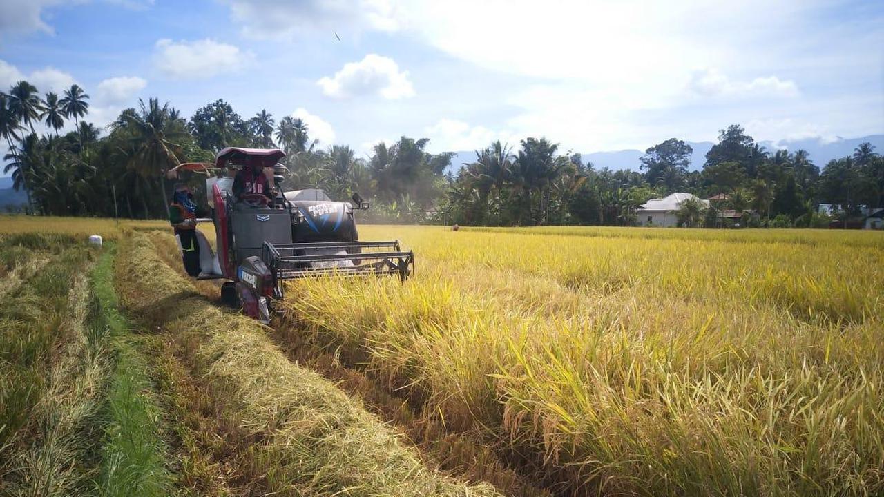 Ditjen PSP Kementan Kembangkan Kerjasama LKM-A dalam Penyaluran KUR Sektor Pertanian