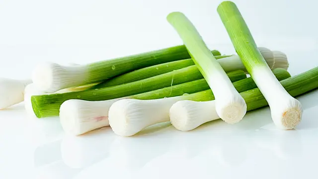 Ilustrasi Daun Bawang