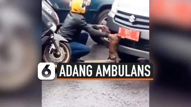 VIDEO: Pemotor Adang Ambulans Demi Selamatkan Kucing