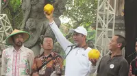 Pendistribusian melon kotak baru terbatas sekitar Jawa Timur, bentuknya yang unik membuat harganya menjadi lebih tinggi. 