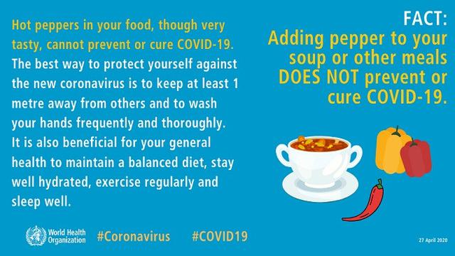 6 fakta terbaru seputar corona covid 19