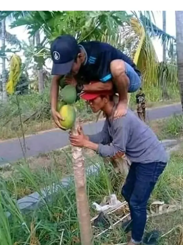 6 Kelakuan Kocak Orang saat Petik Buah Ini Bikin Ketawa