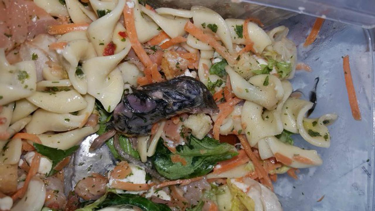 Ada Tikus Dalam Pasta Ini