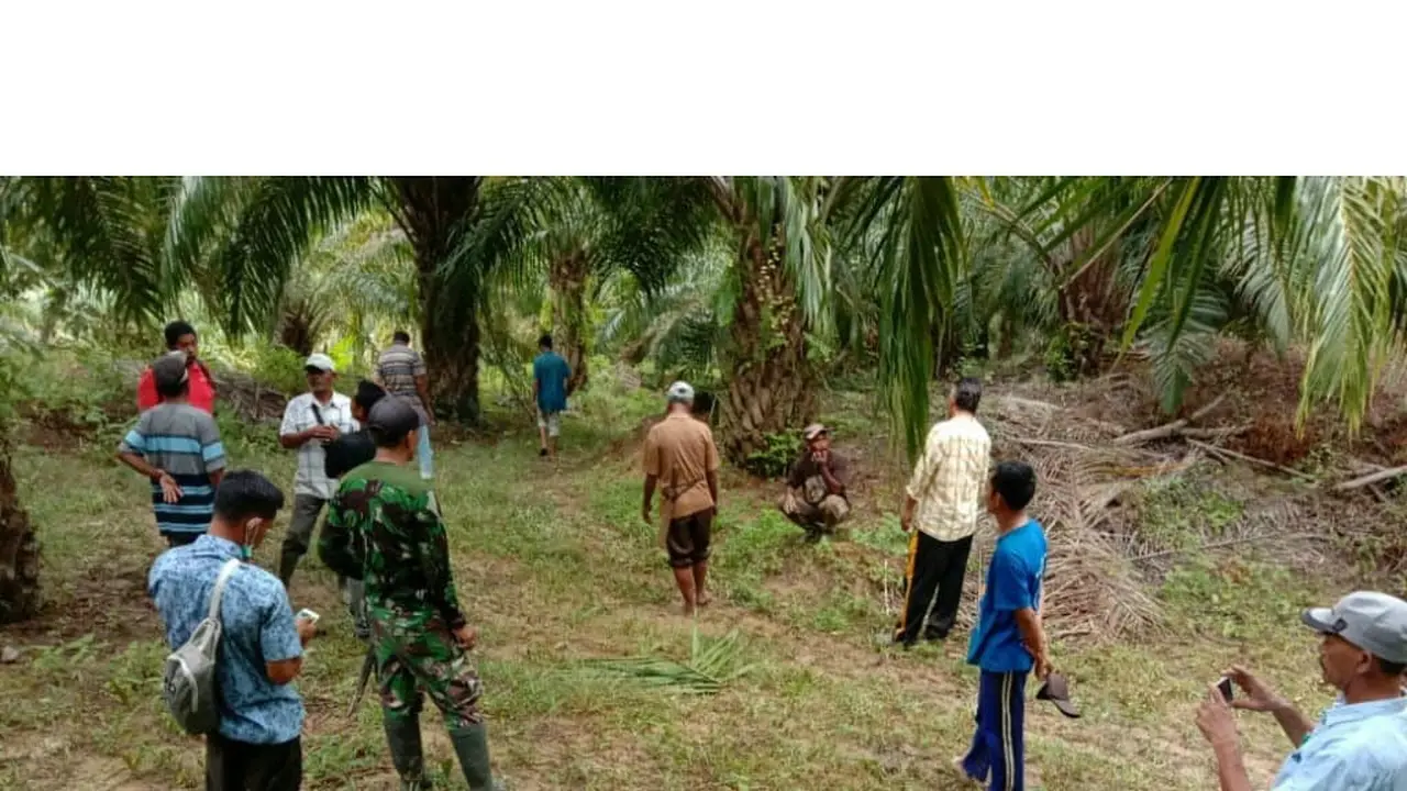 Warga di Aceh pasca hewan beberapa ternak dilaporkan diterkam harimau (Liputan6.com/BKSDA)