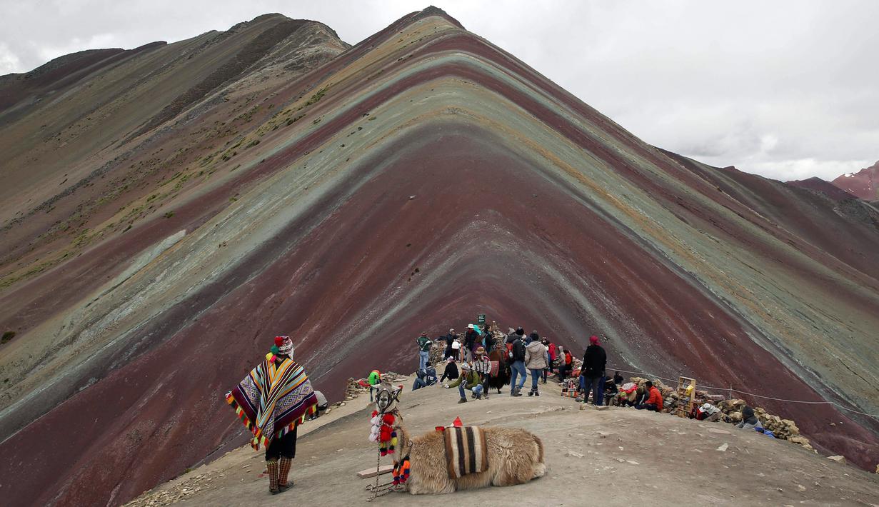 Seorang pria Andes beristirahat bersama llamanya di Gunung Pelangi di Pitumarca, Peru (2/4). Rainbow Mountain atau Gunung Pelangi memiliki warna-warni seperti pelangi ini memiliki ketinggian 16.404 kaki (5.000 meter) di Andes Peru. (AP Photo/Martin Mejia)
