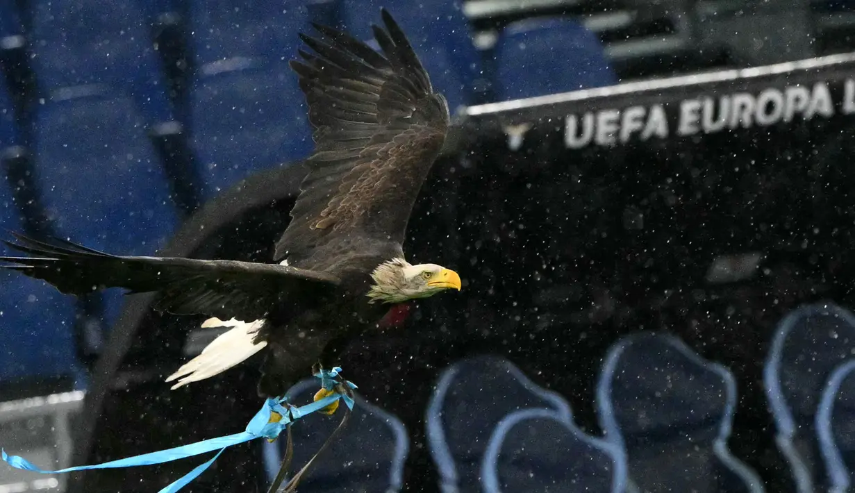 Maskot elang Lazio 'Olympia' terbang  sebelum pertandingan Liga Europa 2024/2025 antara Lazio melawan Nice yang berlangsung di Olympic Stadium, Roma, Italia, Jumat (04/10/2024) dini hari WIB. (AFP/Andreas Solaro)