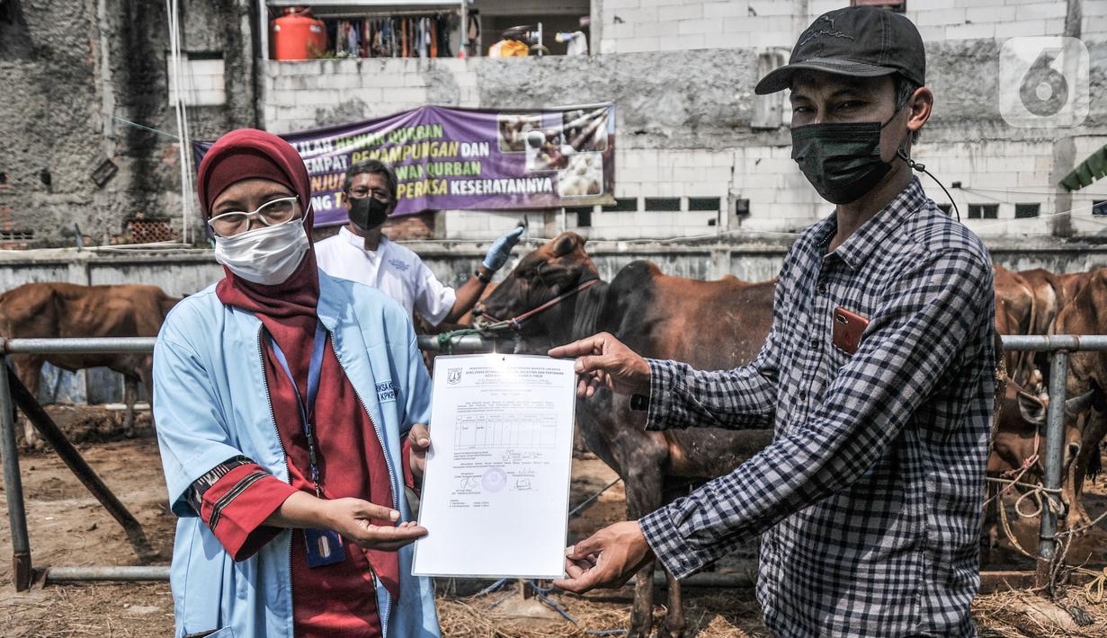 Tim dokter dari Sudin KPKP Jakarta Timur memberikan sertifikat kelayakan kepada pemilik usai memeriksa kesehatan hewan kurban di salah satu tempat penjualan di Jalan I Gusti Ngurah Rai, Jakarta, Kamis (15/7/2021). Pemeriksaan ini guna mencegah masuknya penyakit. (merdeka.com/Iqbal S. Nugroho)